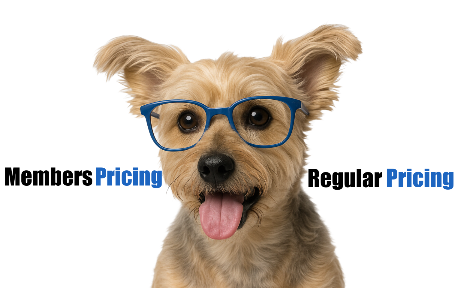 Cute dog with blue glasses between “Members Pricing” and “Regular Pricing” highlighting AllPro Clean’s affordable cleaning service membership.